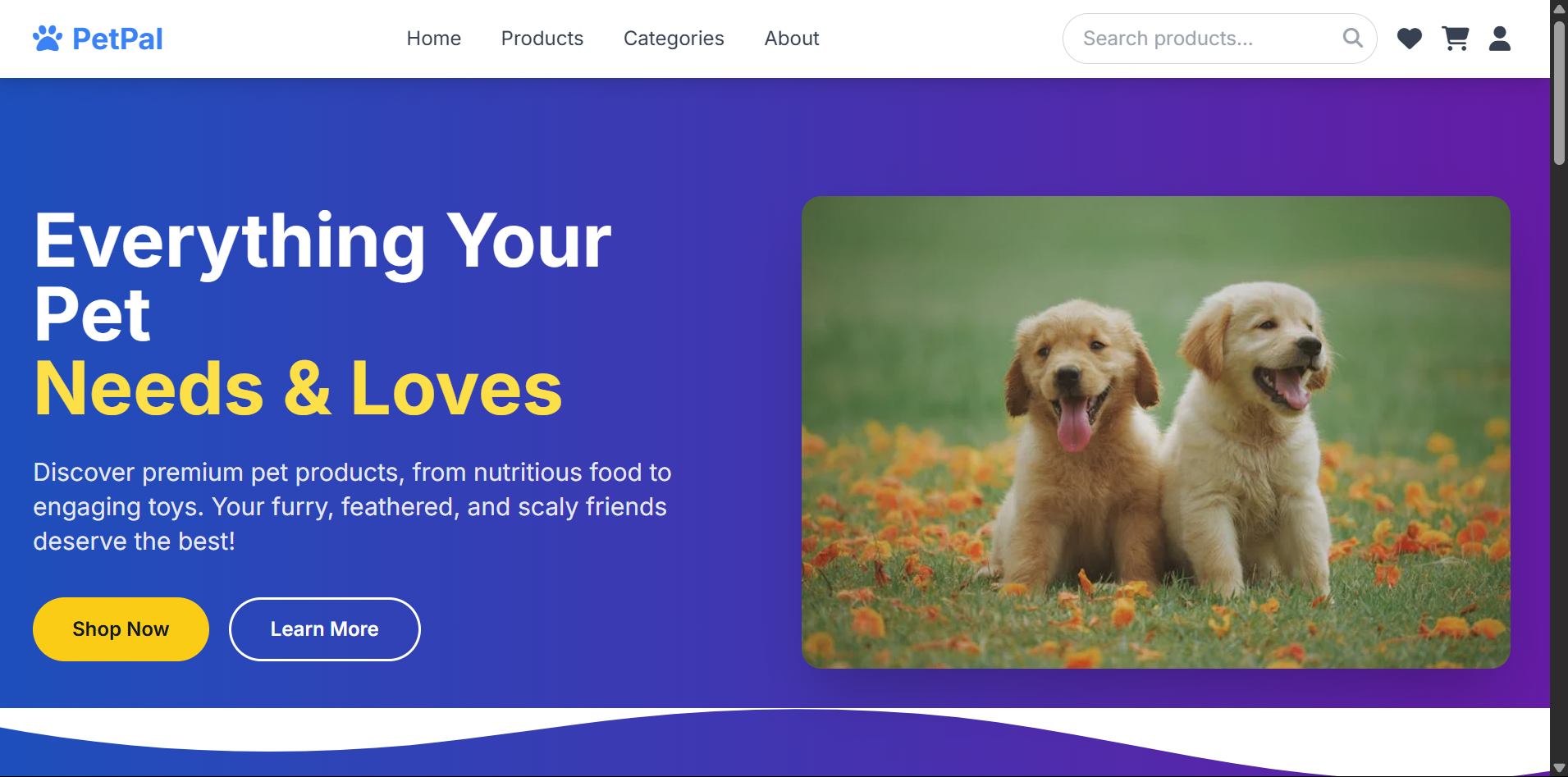 Modern E-commerce Store